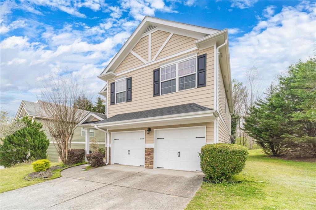 6503 Silk Tree