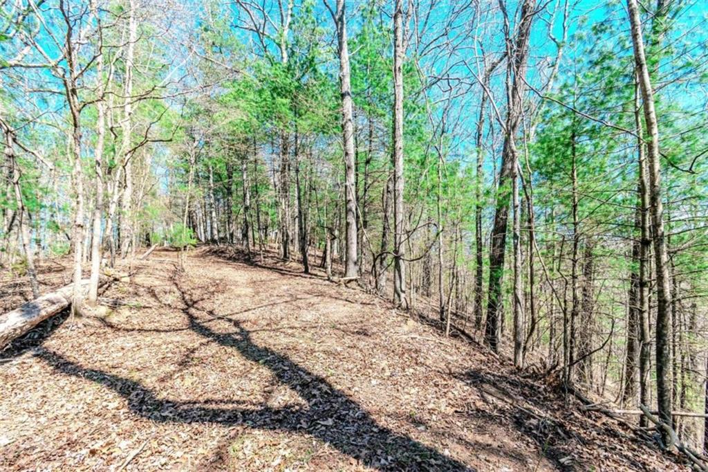 LOT 9 Deer Haven Drive, Morganton, Georgia image 12