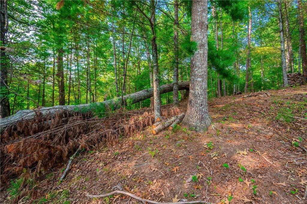 LOT 9 Deer Haven Drive, Morganton, Georgia image 30