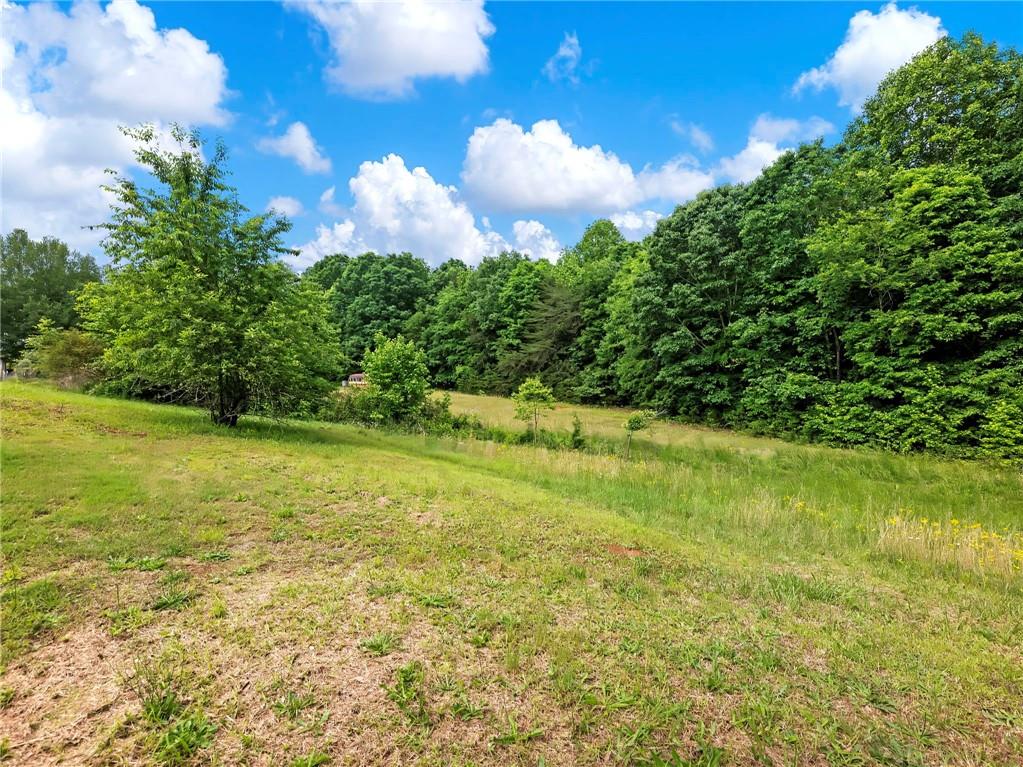 275 Mckie Road, Commerce, Georgia image 39