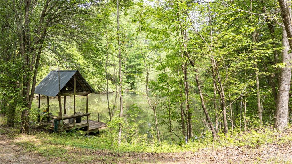 4880 Sugar Pike Road, Canton, Georgia image 14