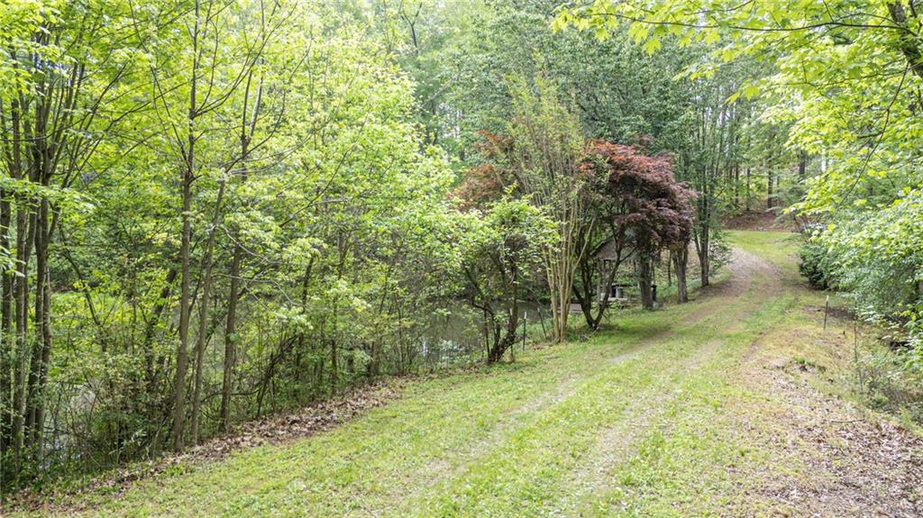 4880 Sugar Pike Road, Canton, Georgia image 10