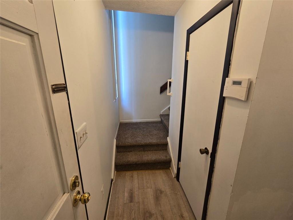 1297 TREE CREEK Court