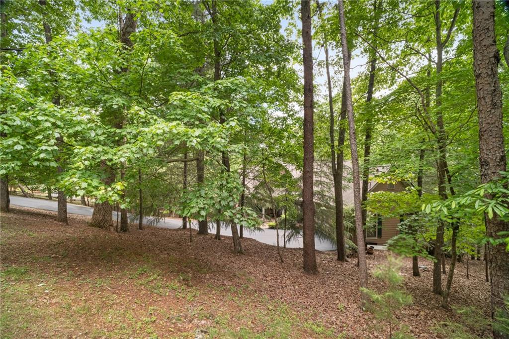 15 Sconti Knoll Drive, Jasper, Georgia image 45