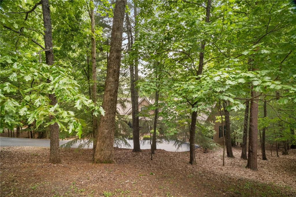 15 Sconti Knoll Drive, Jasper, Georgia image 46