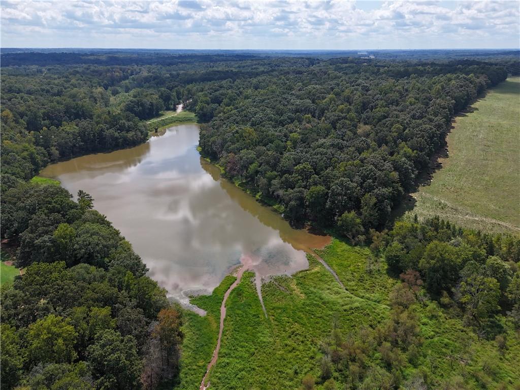 Sanford Lake Drive, Nicholson, Georgia image 13