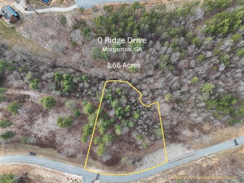 Vacant Land For Sale - Ridge Drive<br/> Morganton, GA 30560