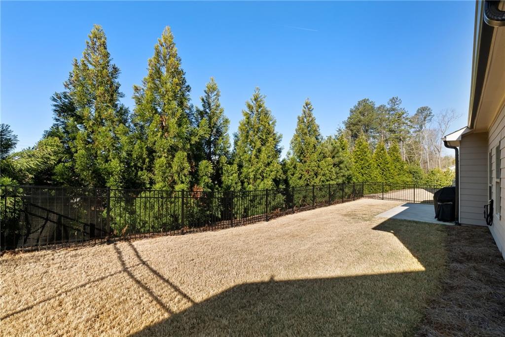 130 Brayden Park Drive, Canton, Georgia image 42