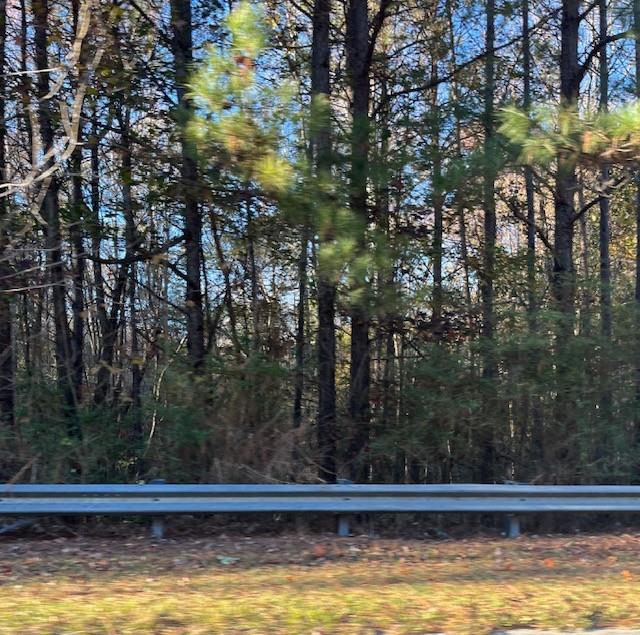 Old Bill Cook Road, Atlanta, Georgia image 3