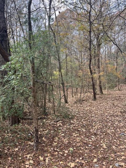 Old Bill Cook Road, Atlanta, Georgia image 12