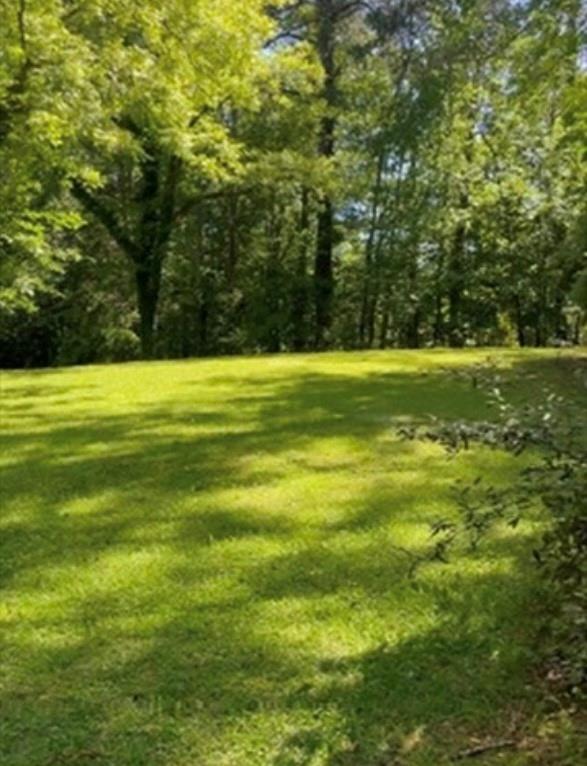 3300 Cascade Road SW