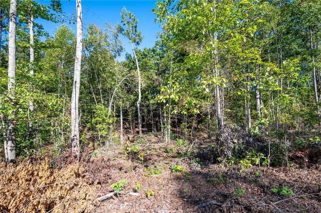 3785 HWY 140 NE