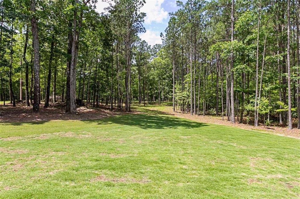 1505 Willis Road