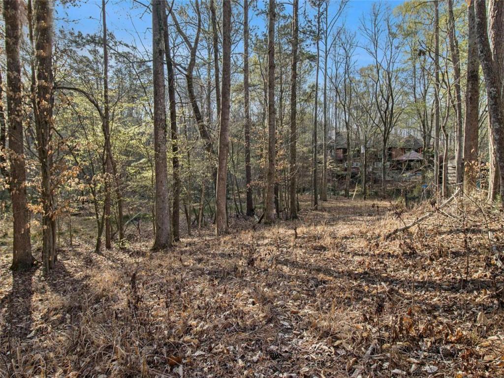 4155 Prestley Mill Road, Douglasville, Georgia image 5
