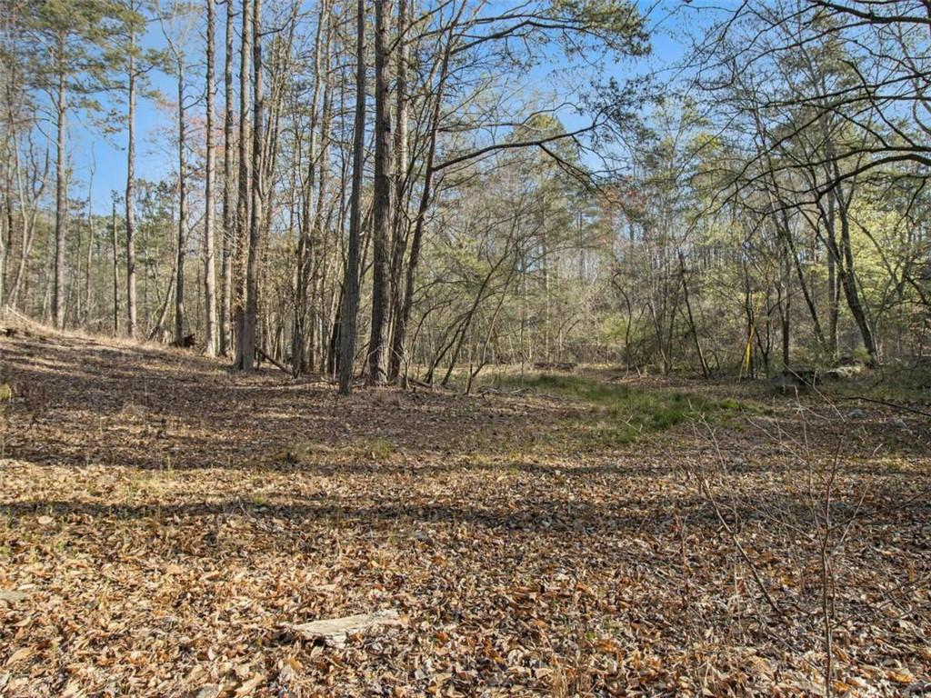 4155 Prestley Mill Road, Douglasville, Georgia image 6
