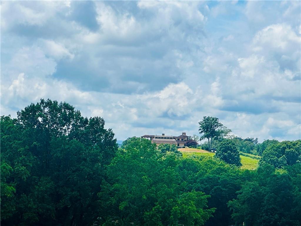 7B Strada Valdichiana, Dahlonega, Georgia image 4