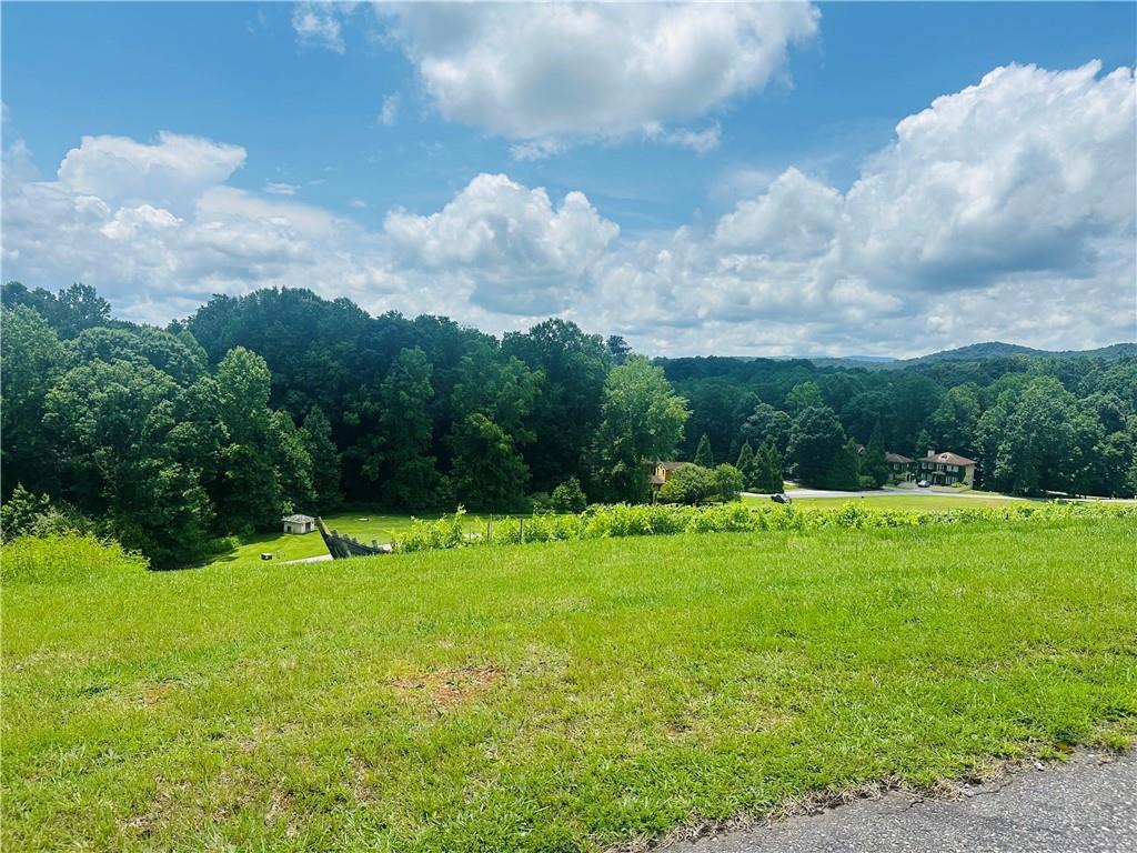 7B Strada Valdichiana, Dahlonega, Georgia image 1