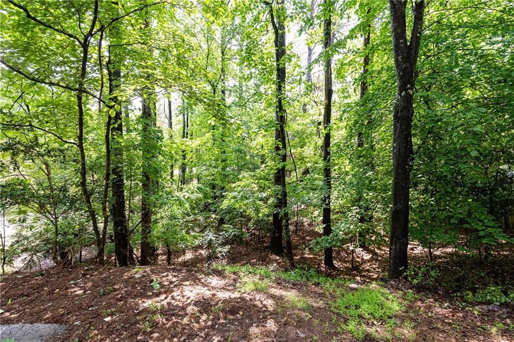 535 Silver Pine Trail, Roswell, Georgia image 48