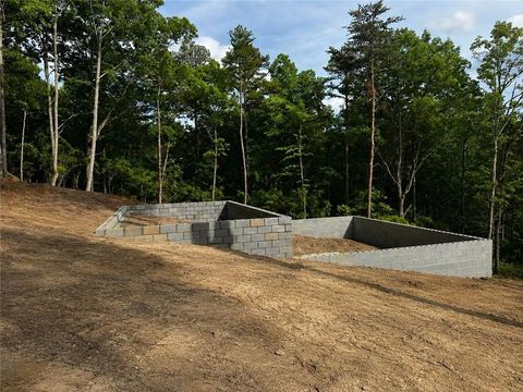 1497 Derby Court NE Ranger GA 30734