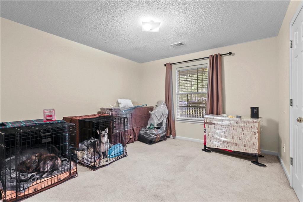 142 Old Hampton Way, Hampton, Georgia image 6