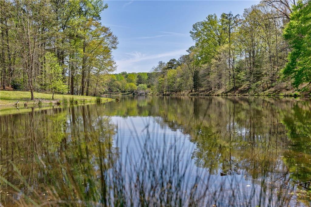 00 Arabian Way, Buckhead, Georgia image 17