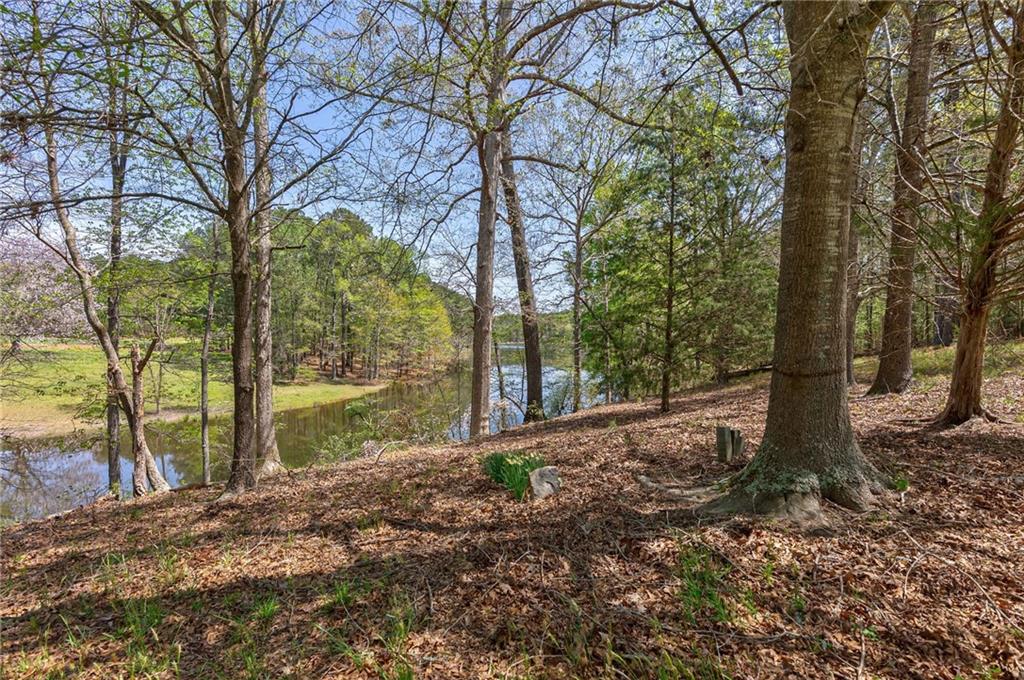 00 Arabian Way, Buckhead, Georgia image 19