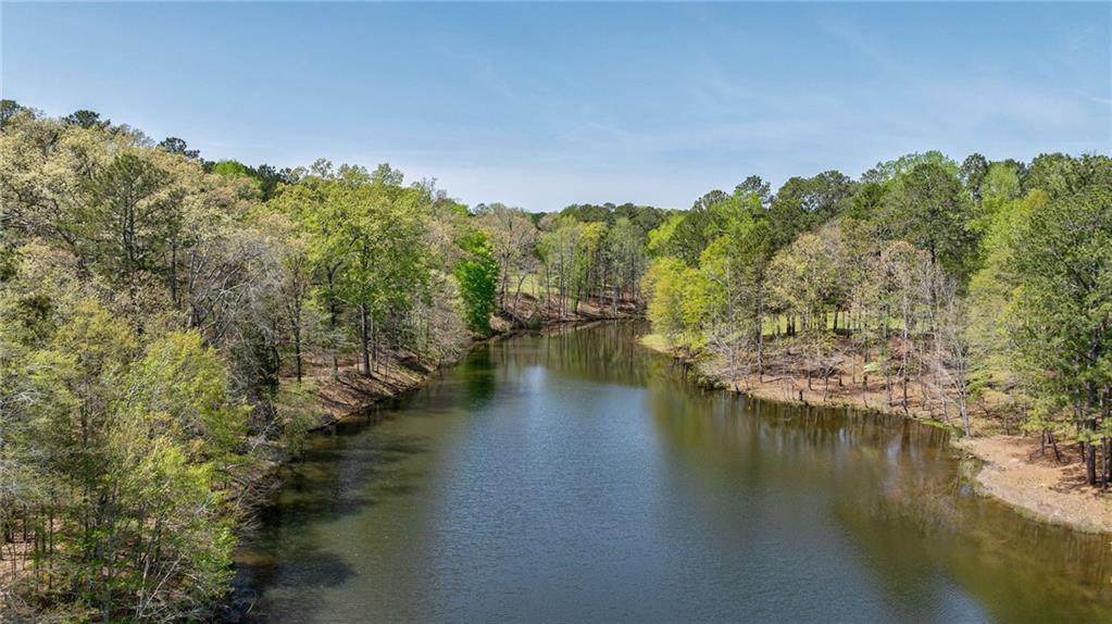 00 Arabian Way, Buckhead, Georgia image 44