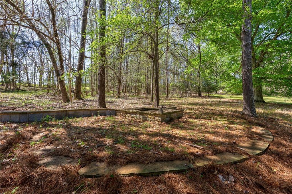 00 Arabian Way, Buckhead, Georgia image 6