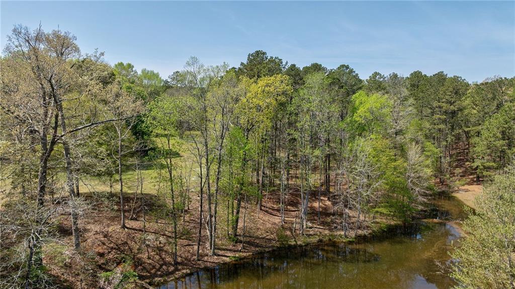 00 Arabian Way, Buckhead, Georgia image 48