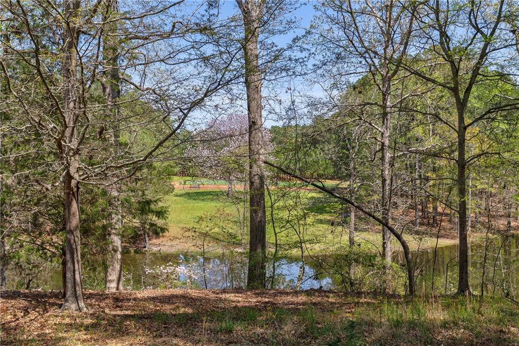 00 Arabian Way, Buckhead, Georgia image 20