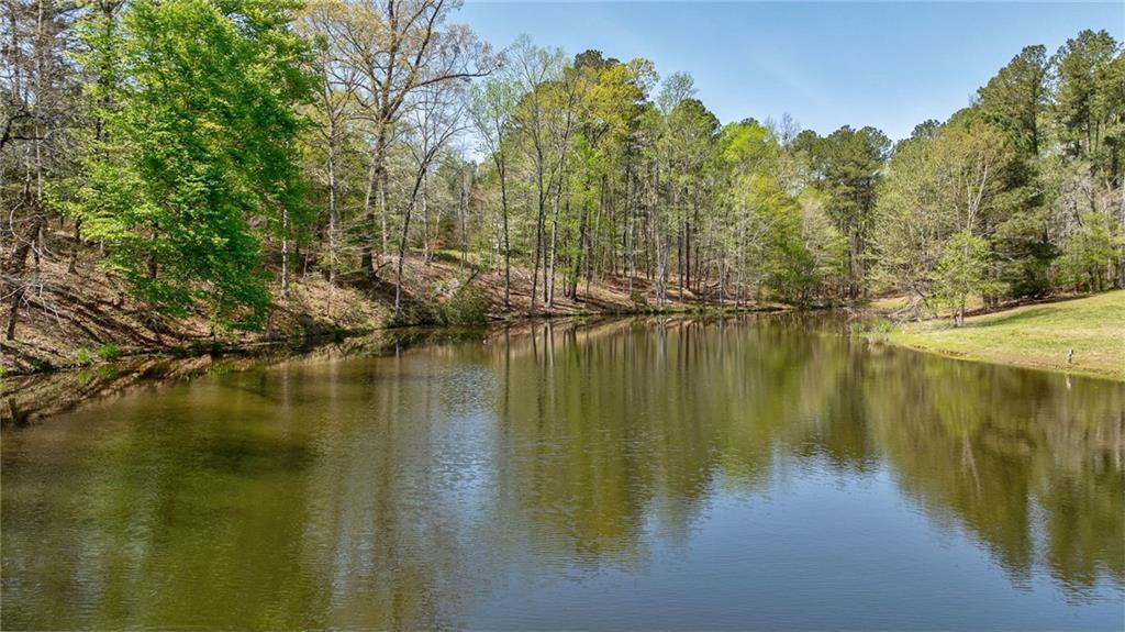 00 Arabian Way, Buckhead, Georgia image 46