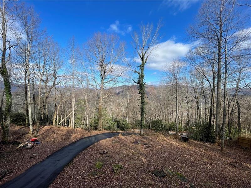 574 Bachelors Button Drive