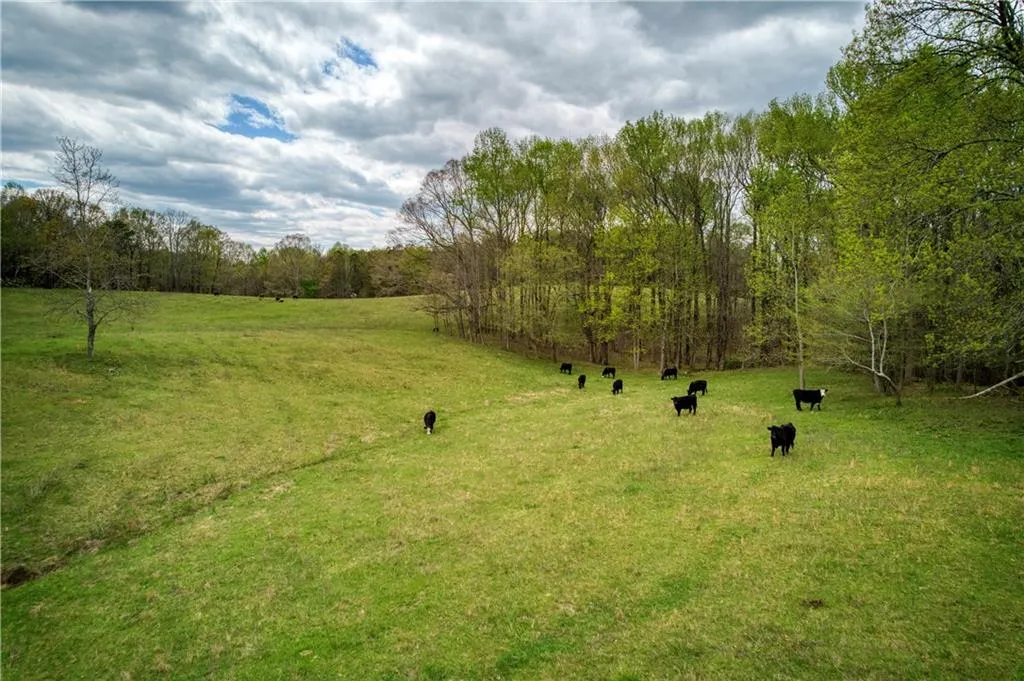 Jasper, Georgia 30143, United States, ,Land,Active,11561