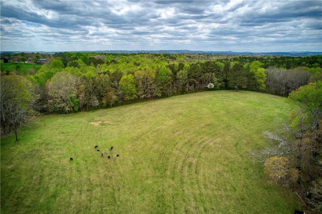 Jasper, Georgia 30143, United States, ,Land,Active,11561