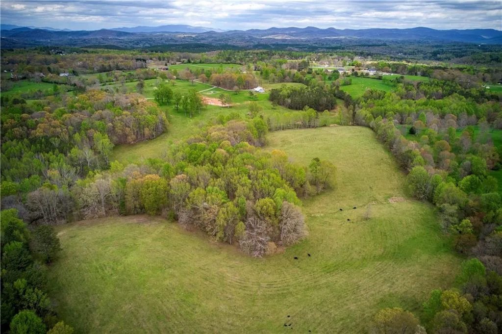 Jasper, Georgia 30143, United States, ,Land,Active,11561