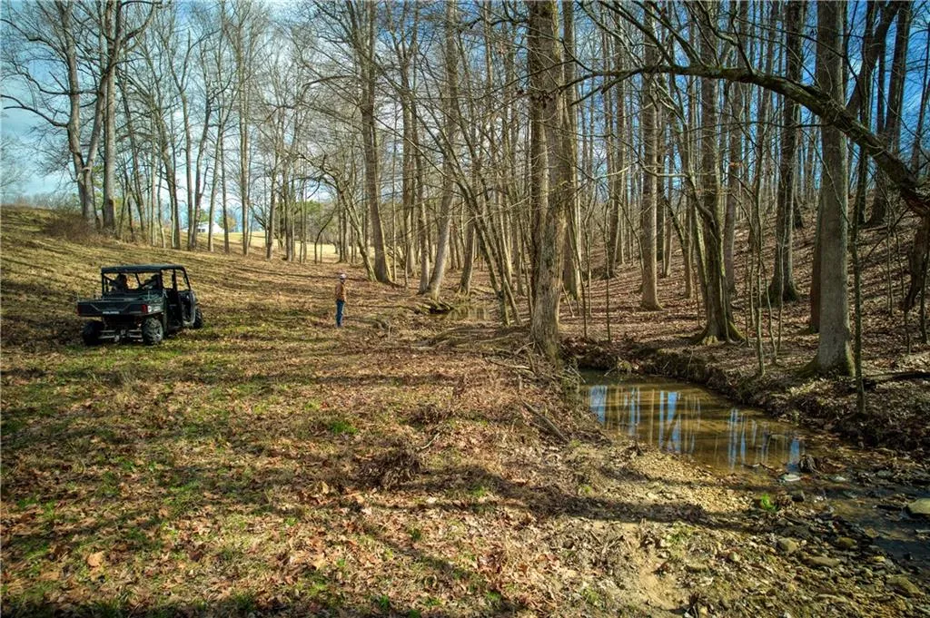 Jasper, Georgia 30143, United States, ,Land,Active,11561