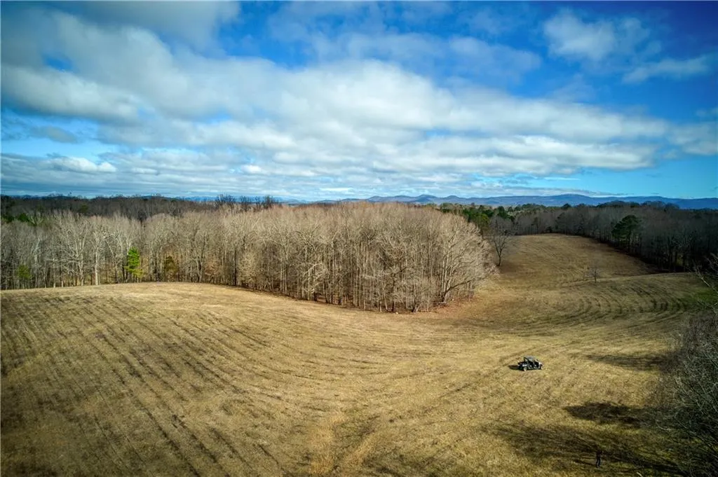 Jasper, Georgia 30143, United States, ,Land,Active,11561