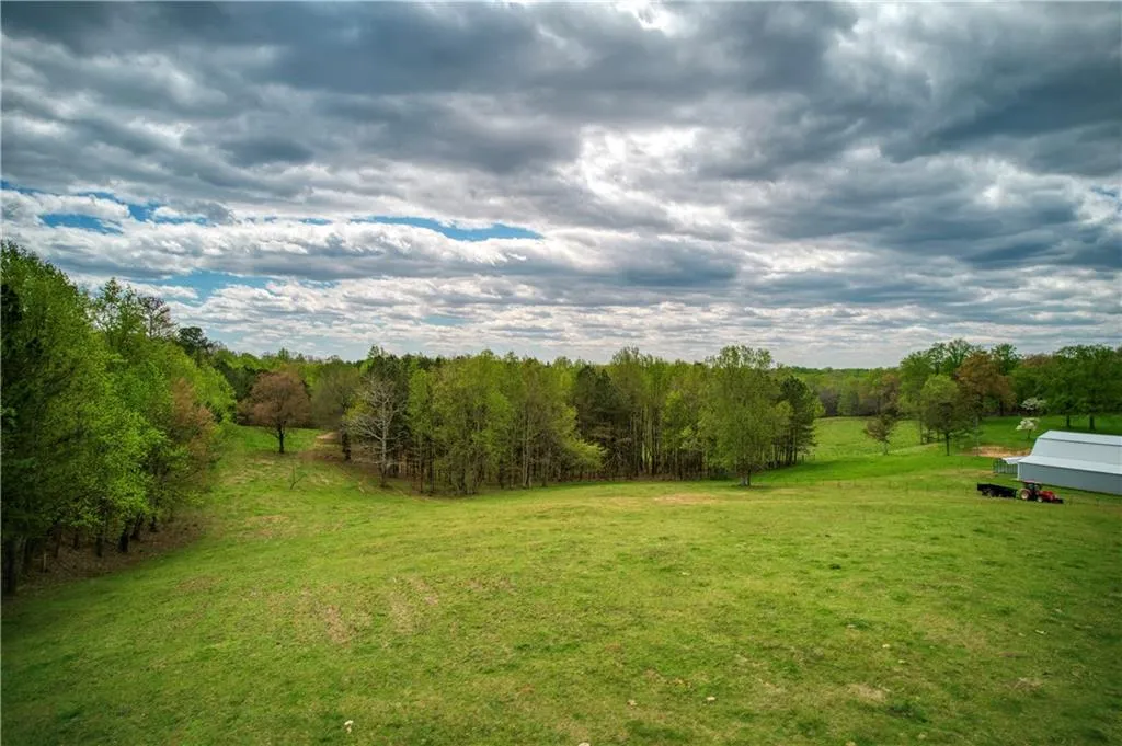 Jasper, Georgia 30143, United States, ,Land,Active,11561