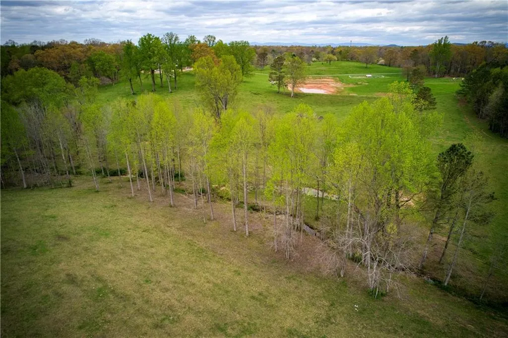 Jasper, Georgia 30143, United States, ,Land,Active,11561