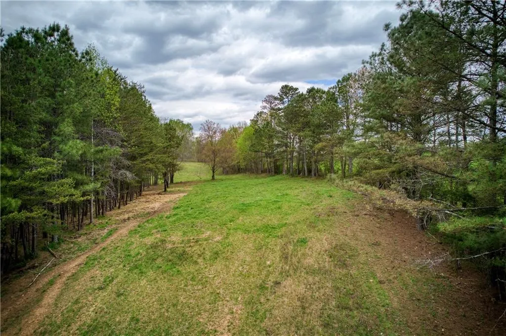 Jasper, Georgia 30143, United States, ,Land,Active,11561