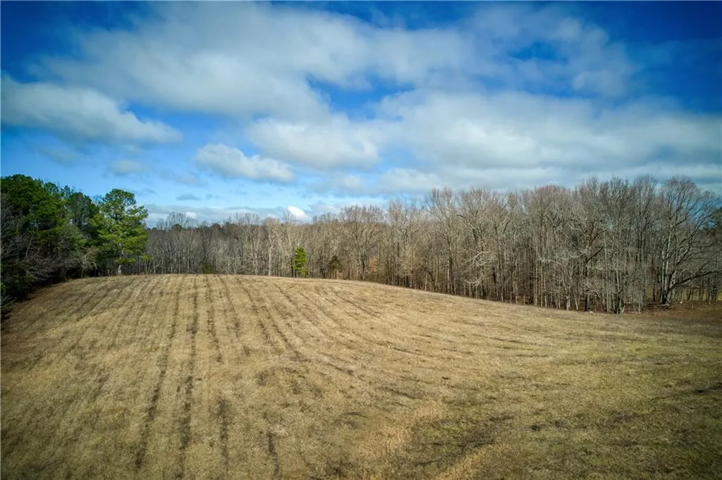 Jasper, Georgia 30143, United States, ,Land,Active,11561