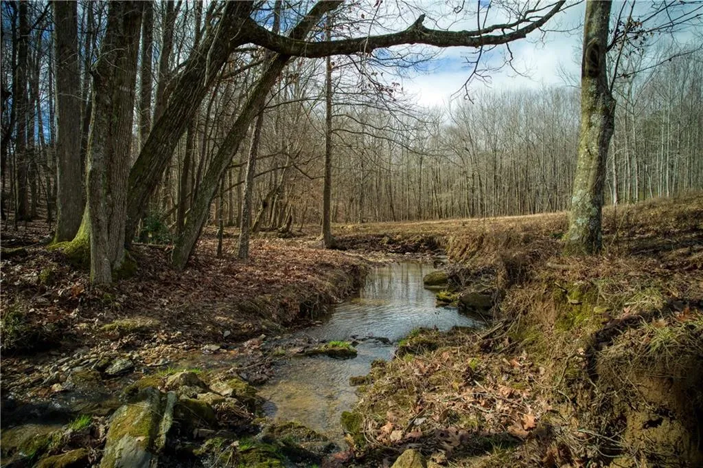 Jasper, Georgia 30143, United States, ,Land,Active,11561