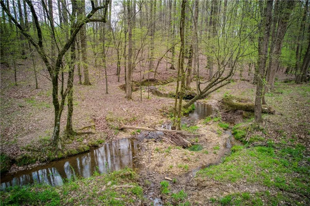 Jasper, Georgia 30143, United States, ,Land,Active,11561