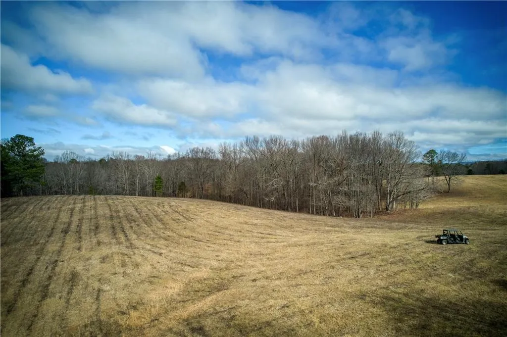 Jasper, Georgia 30143, United States, ,Land,Active,11561