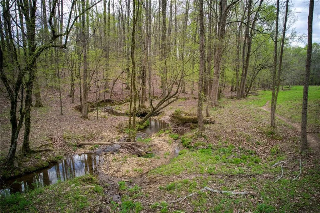 Jasper, Georgia 30143, United States, ,Land,Active,11561