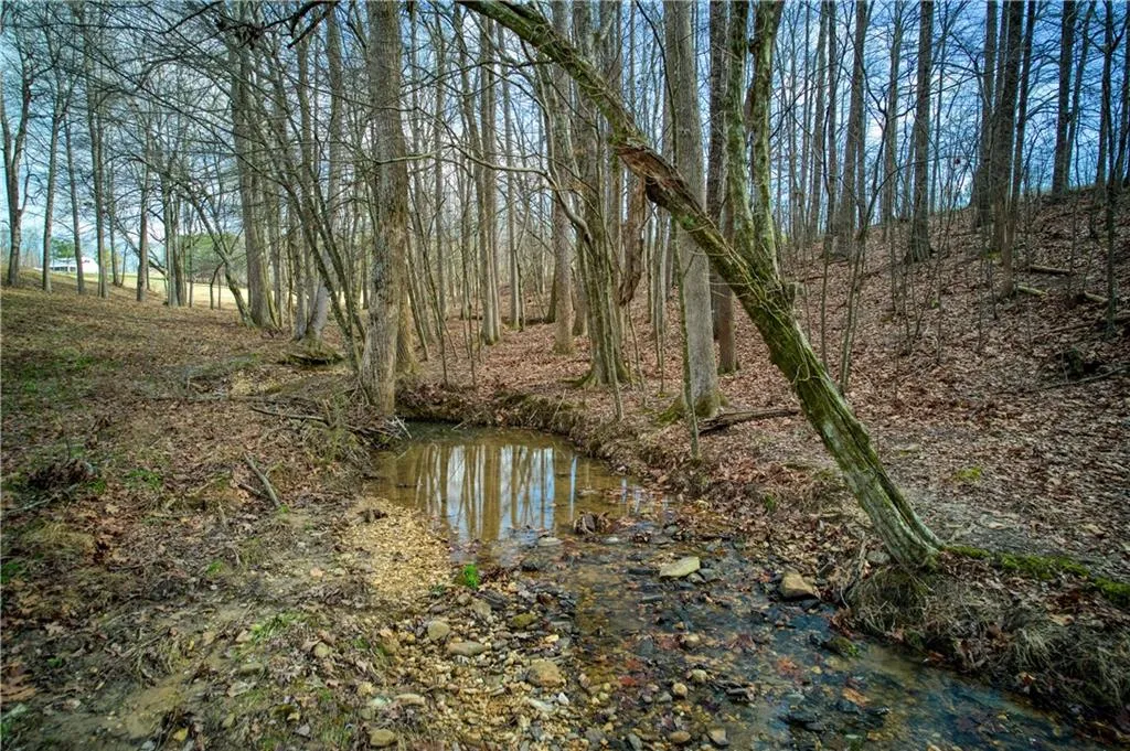 Jasper, Georgia 30143, United States, ,Land,Active,11561