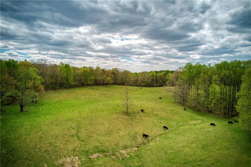 Jasper, Georgia 30143, United States, ,Land,Active,11561