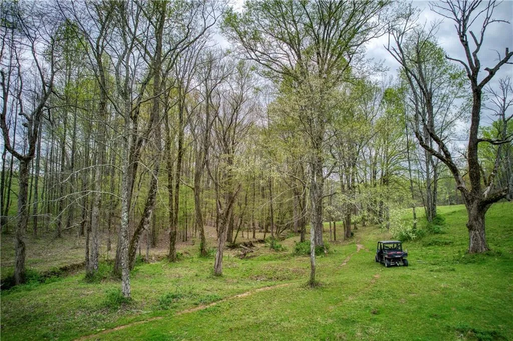 Jasper, Georgia 30143, United States, ,Land,Active,11561