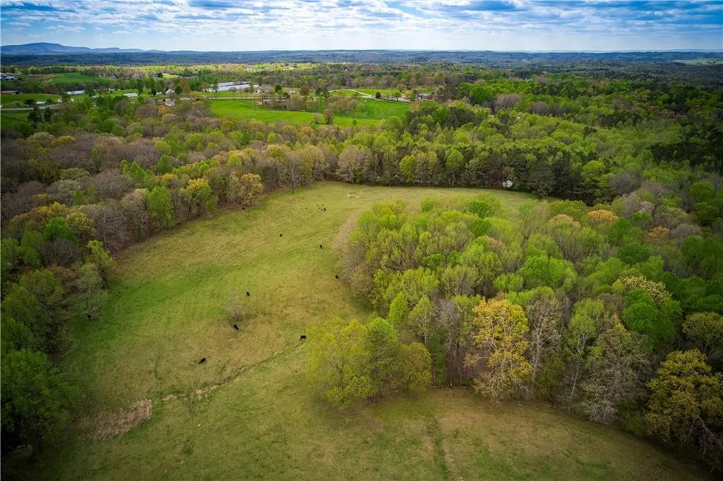 Jasper, Georgia 30143, United States, ,Land,Active,11561