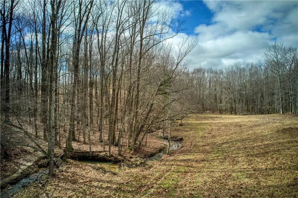 Jasper, Georgia 30143, United States, ,Land,Active,11561